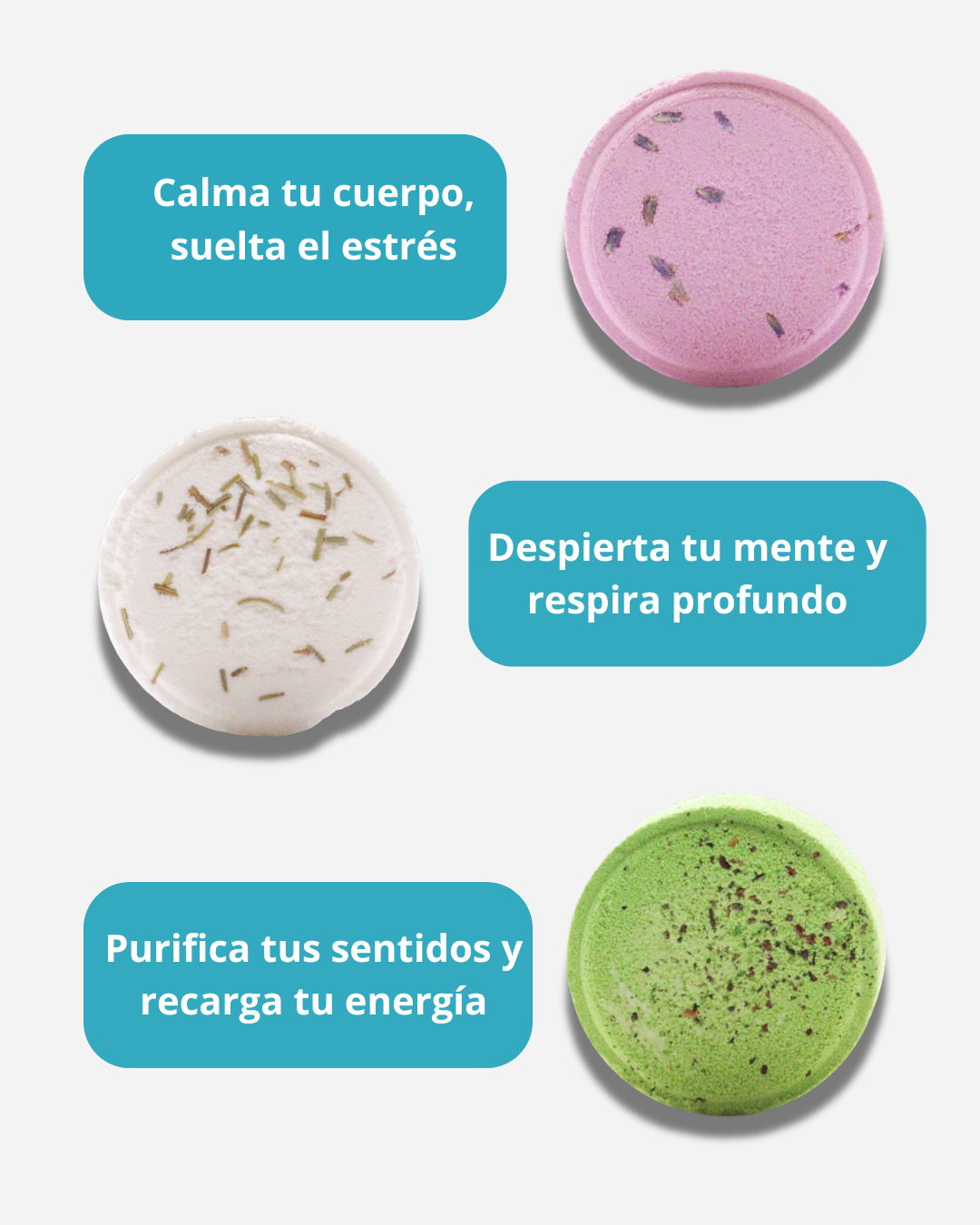 Fondo de la sección